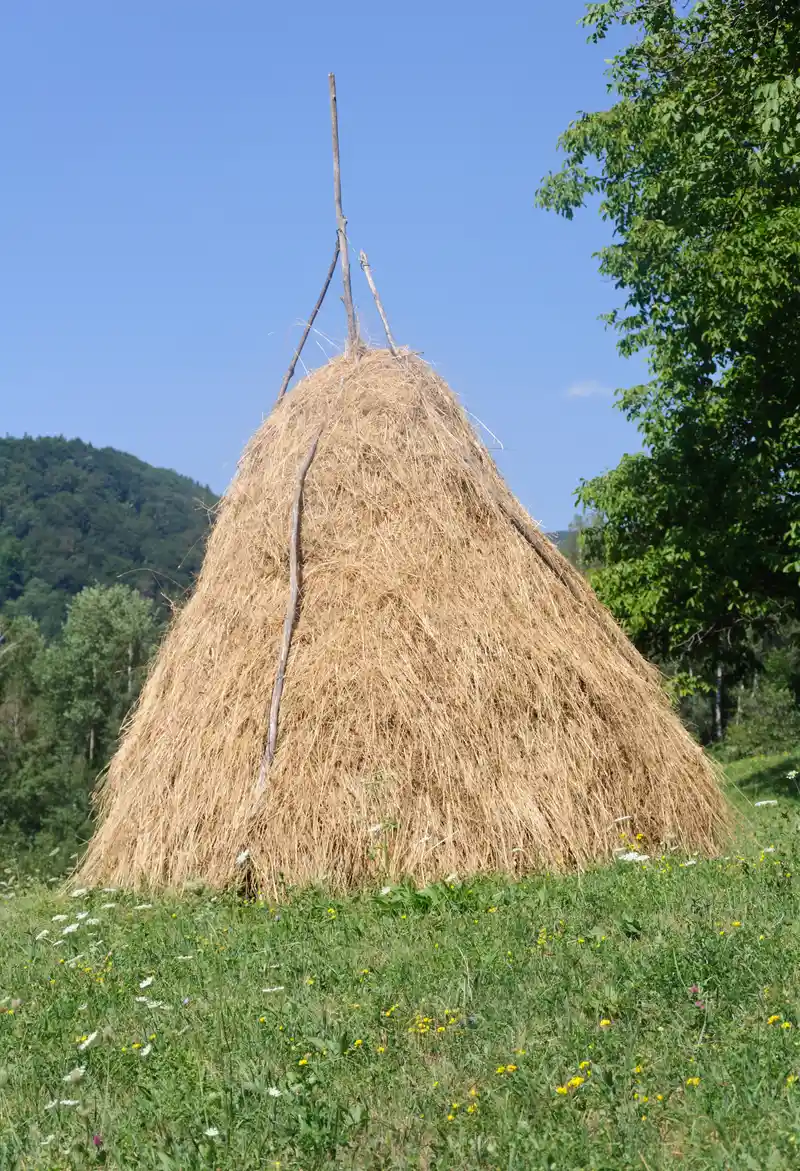 Haystacks by Claude Monet